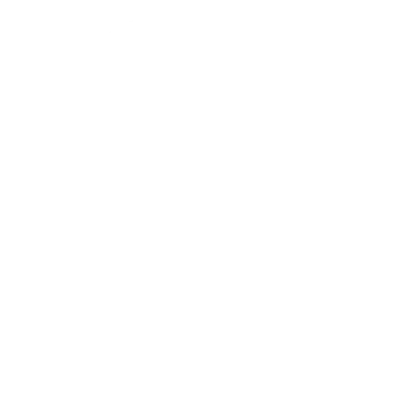 boton whatsapp