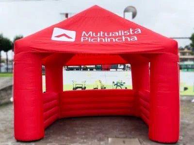 Carpa 17