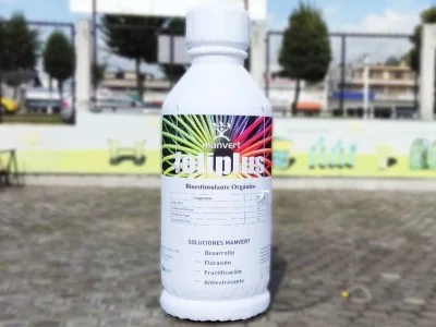 Botella 10